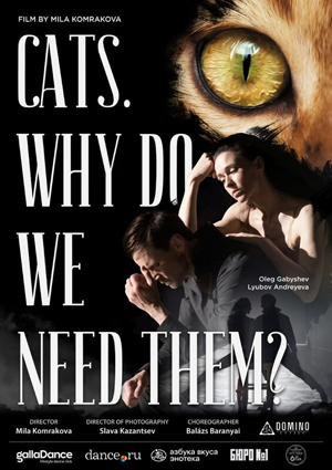 CATS: WHY DO WE NEED THEM?